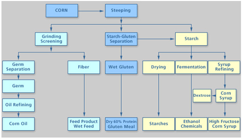 Wet milling process of ethanol production.png